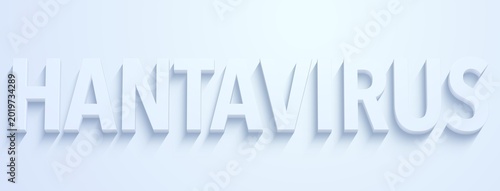 hantavirus bannière (blanc fond blanc)