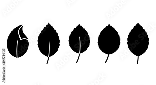 Cuadro en lienzo Set of black leaf icons representing different stages of leaf decay or damage