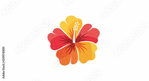 A vibrant hibiscus flower in warm tones on a white background