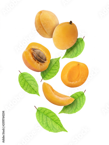 Falling fresh ripe apricots, whole, halves with pit, and a slice with green leaves isolated on white background.