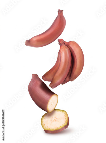 Falling fresh red bananas, whole and sliced, isolated on white background.