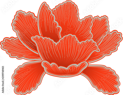 Peony Flower