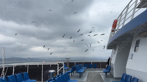 Handheld video of seagulls flying closely behind a passenger ferry boat