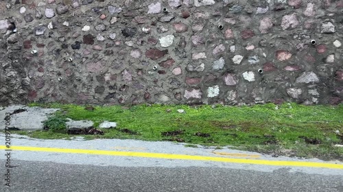 Tracking video of a flock of sheep walking along a wet paved road
