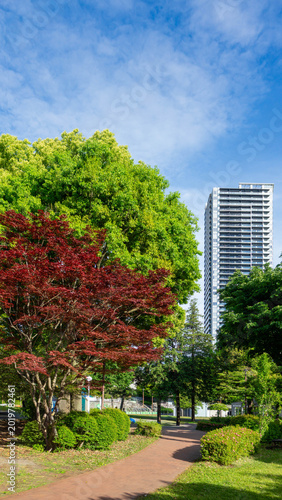Modern Residential Skyscraper and Gazebo with Fresh Greenery in Sagamiono Central Park, Japan