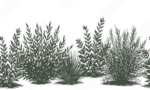 Photos Lush bushes and thickets on a seamless horizontal border