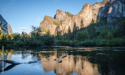 Schilderij op canvas Natural scenery of El Capitan in Yosemite National Park, California, USA