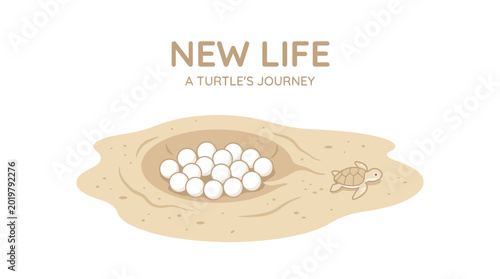 Bild auf Leinwand Turtle Eggs Hatching, New Life