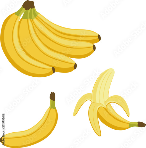 Set of Bananas. Bunch, Single and Peeled Banana. Hand Drawn Vector Illustration of Tropical Yellow Fruits.
