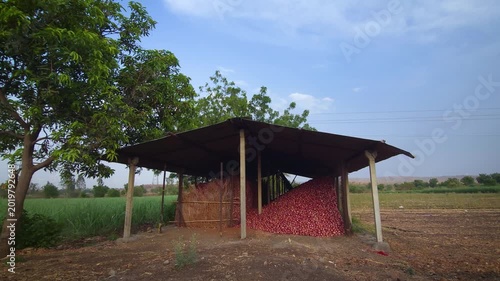 A rural onion storage shed in the Indian countryside, likely in Maharashtra or Gujarat. A large pile of freshly harvested red onions is stored under an open-sided metal roofed structure supported by c