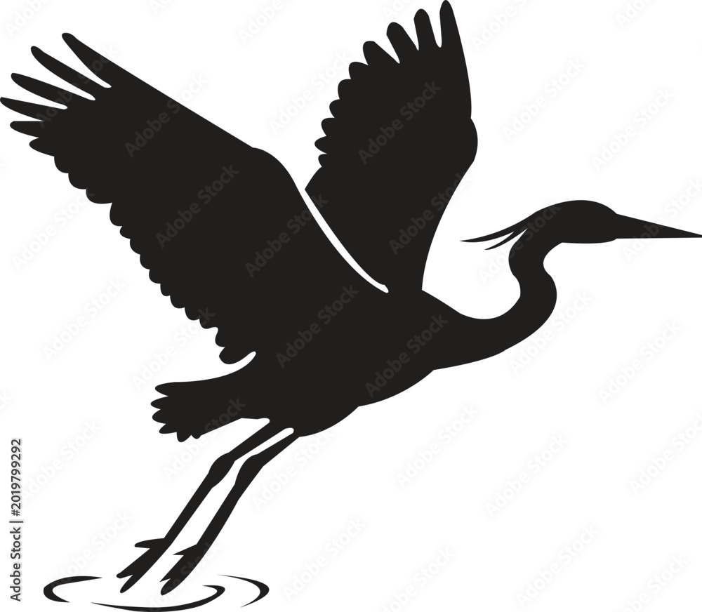 Fototapeta premium A pure black silhouette of herons