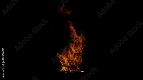 A realistic fire element with intense flames burning brightly against a solid black background for compositing.