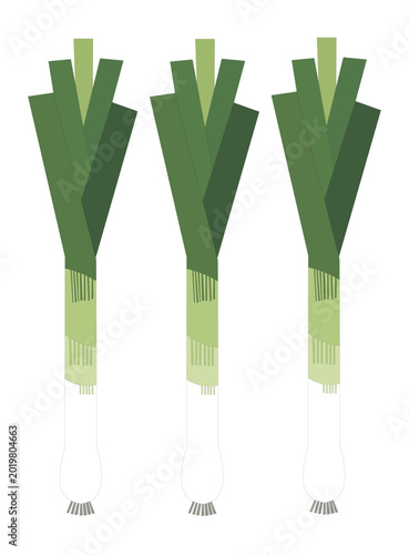 Three leeks vegetable illustration fresh organic green leeks bunch for healthy cooking and soup ingredient