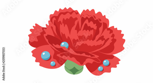 A vibrant red carnation with dew drops against a plain white background