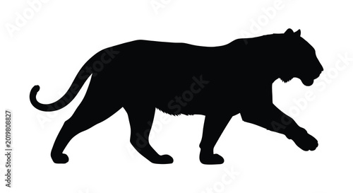 Photos Tiger walking side view black silhouette high quality
