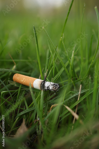 Cigarette butt lying among grass blades in outdoor environment