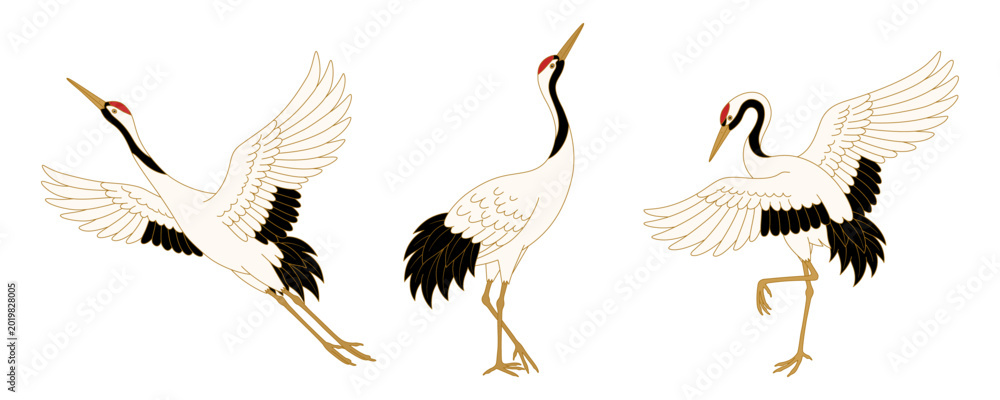 Fototapeta premium Elegant Japanese red crowned crane collection featuring graceful flying standing and dancing bird illustrations in traditional oriental style