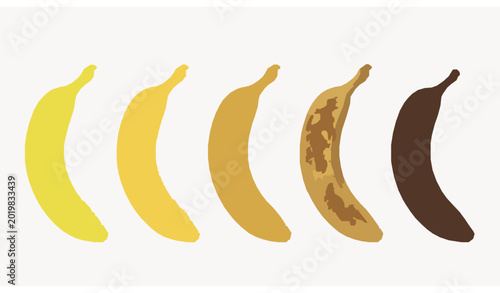 Bild auf Leinwand Flat banana ripeness vector fruit progression illustration set