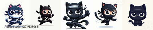 Photography vector of a cat ninja