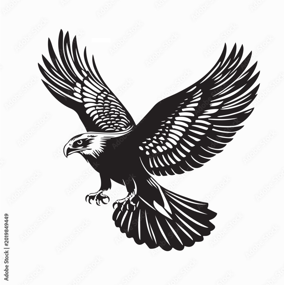 Fototapeta premium Powerful Buzzard Bird Landing With Wings Spread Vector Illustration