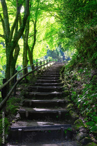 熊野磨崖仏への参道