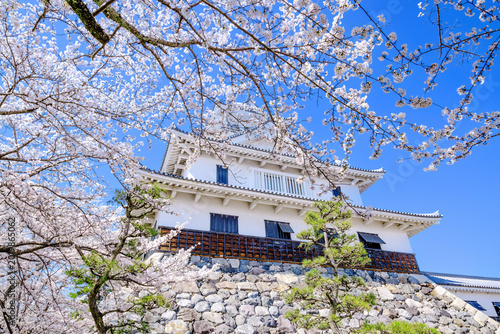 春の長浜城
