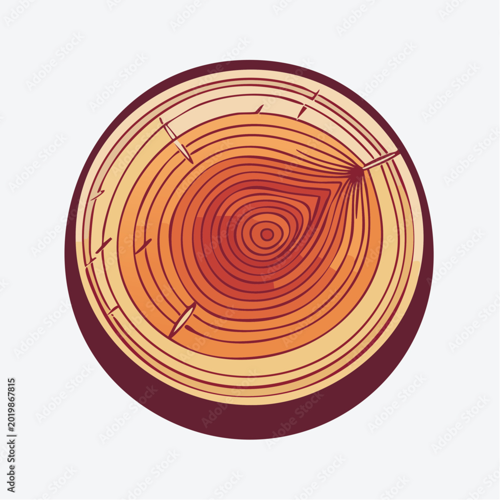 Fototapeta premium Cross-section of a Tree Trunk with Rings