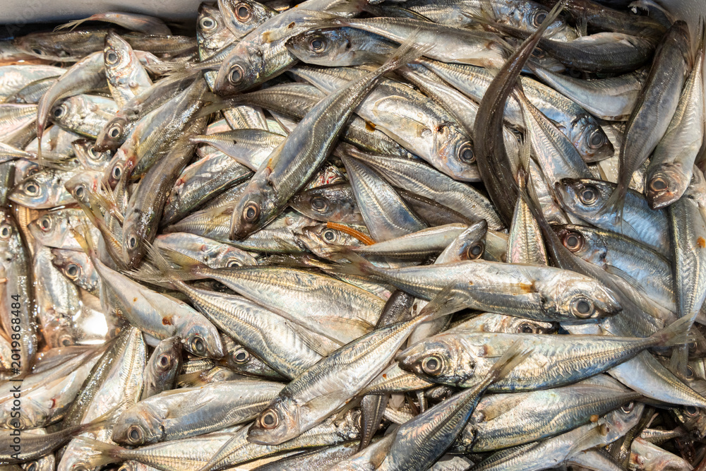 Fototapeta premium Freshly Caught Sardines Pile Seafood Market Healthy Food Ingredient