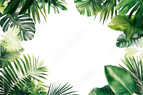 Tropical leaves on white background.