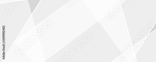 Cuadro en lienzo PrintAbstract white and gray background