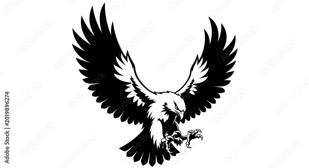 Fototapeta premium Black and white eagle with wings spread descending