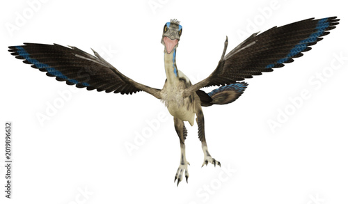 Fotografía Flying Archaeopteryx Dinosaur Bird Vector Illustration Isolated on White