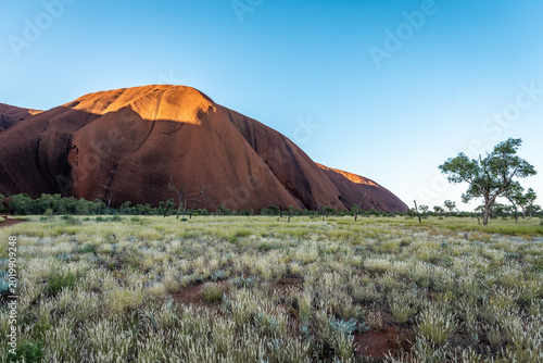 Φωτογραφία Sunrise Light on Uluru with Spinifex Grass in Northern Territory