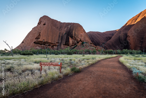 Obraz na plátně Walking Trail Around Uluru with Desert Grass and Red Sandstone Formations