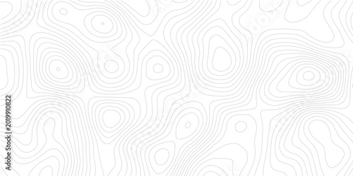 Minimal topographic contour lines on a white background with elegant modern abstract design.