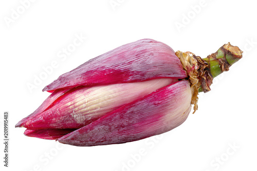 Elegant banana flower in its natural splendor isolated on transparent background. Freshly harvested banana flower isolated on white background.