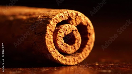 Closeup macro view of a rolled cinnamon stick, warm brown spice texture, aromatic ingredient for cooking and baking, cozy food background