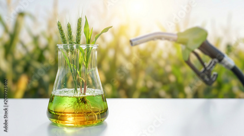 Bioethanol fuel concept. A glass flask with glowing golden liquid and green plants, symbolizing sustainable agricultural renewable energy and clean combustion efficiency.