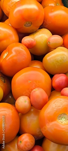 Canvas Print The variety of ripe