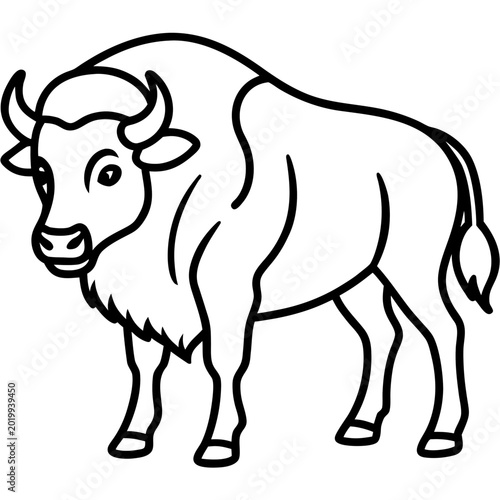 Wild Bison Line Art Design Editable