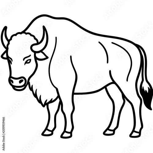 Wild Bison Line Art Design Editable