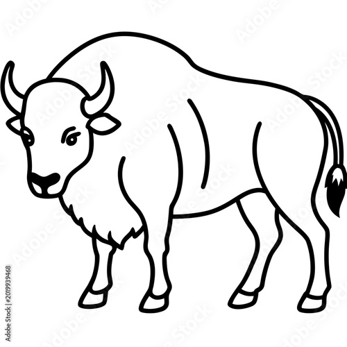 Wild Bison Line Art Design Editable