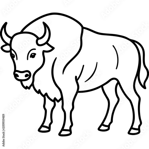 Wild Bison Line Art Design Editable