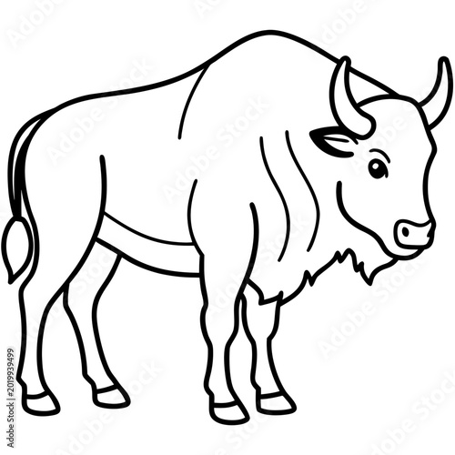 Wild Bison Line Art Design Editable