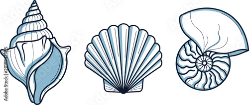 Foto Detailed seashell illustration set with conch scallop and nautilus marine shells