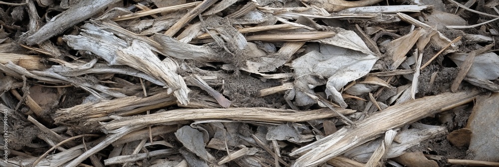 Obraz premium Natural Forest Floor Texture with Dry Plant Debris, Leaf Litter, and Earthy Ground Pattern Detail