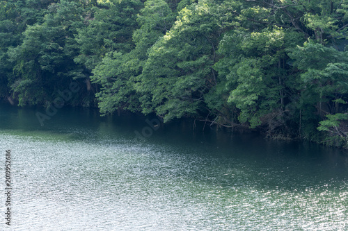 新緑に囲まれた埼玉県長瀞町の荒川の風景