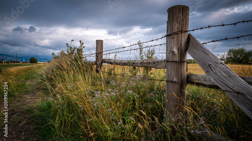 Abandoned barbed wire fence with broken wooden posts in grassland  