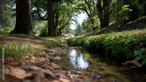 A tranquil view of a shallow woodland stream flowing through the lush shaded path under a dense canopy