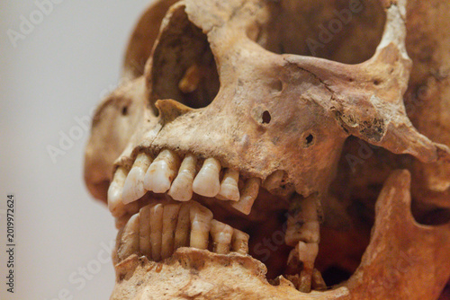Foto Close-up view of an ancient human skull showing teeth and eye sockets